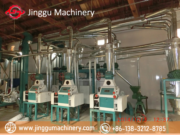 20t Maize milling machine in Xingtai